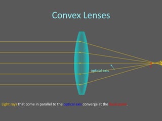Convex Lenses



                                                                                    •
                                                                                    F
                                                         optical axis




Light rays that come in parallel to the optical axis converge at the focal point.
 