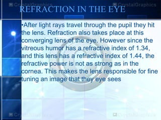 REFRACTION IN THE EYE
•After light rays travel through the pupil they hit
the lens. Refraction also takes place at this
converging lens of the eye. However since the
vitreous humor has a refractive index of 1.34,
and this lens has a refractive index of 1.44, the
refractive power is not as strong as in the
cornea. This makes the lens responsible for fine
tuning an image that they eye sees
 