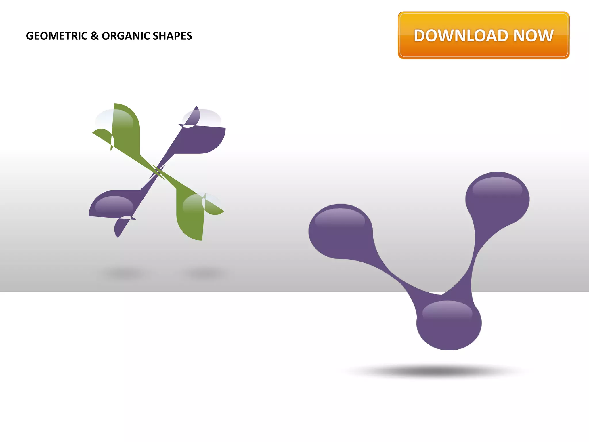 GEOMETRIC & ORGANIC SHAPES
 