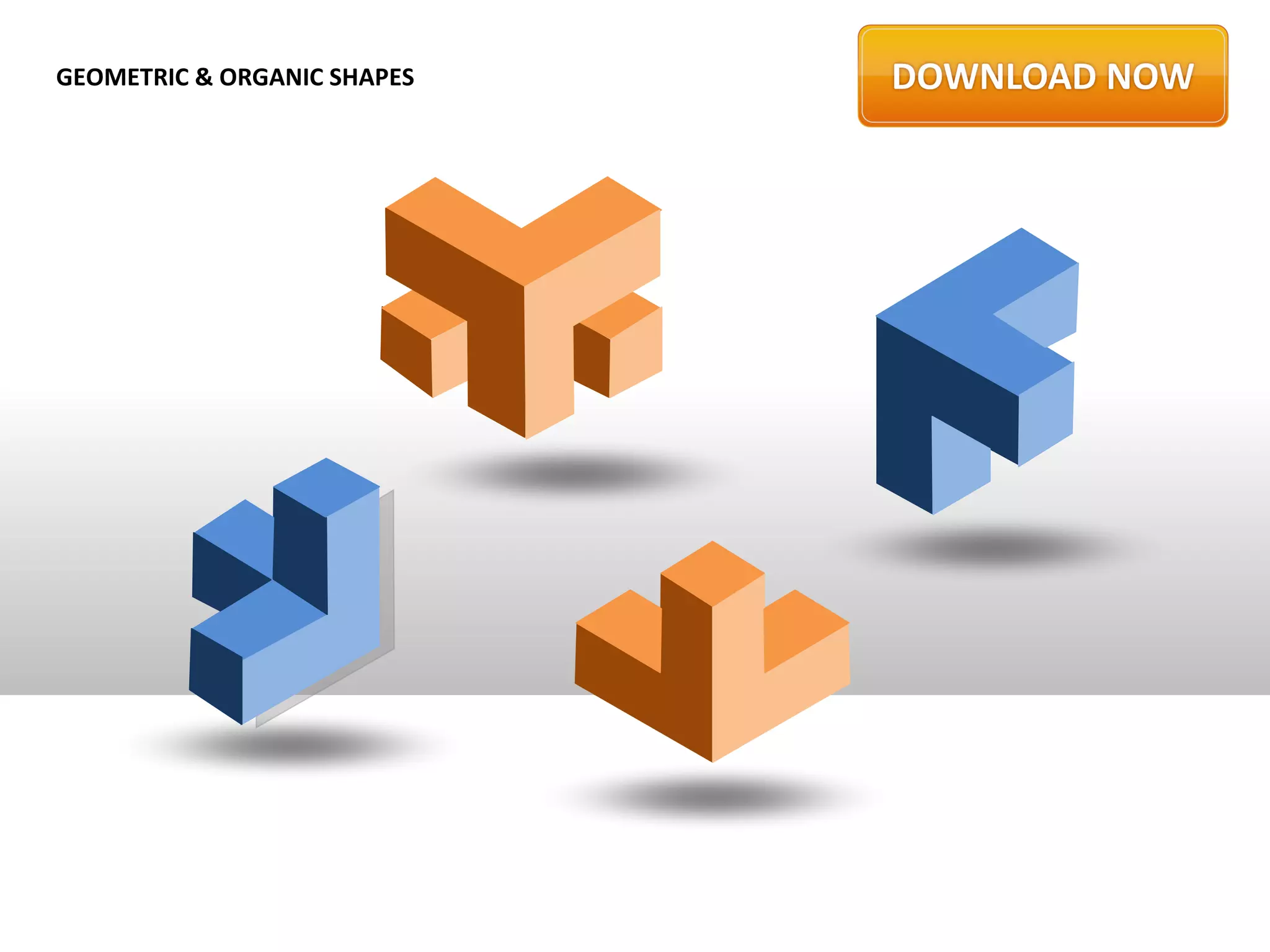 GEOMETRIC & ORGANIC SHAPES
 