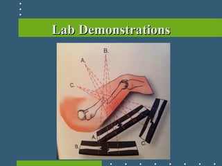 Lab DemonstrationsLab Demonstrations
 