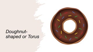 Doughnut-
shaped or Torus
 