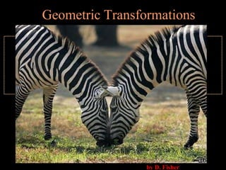 Geometric Transformations by D. Fisher 