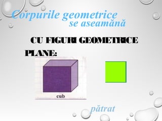 CU FIGURI GEOMETRICE
PLANE:
pătrat
Corpurile geometrice
se aseamănă
 