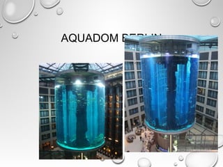 AQUADOM BERLIN
64
 