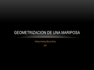 GEOMETRIZACION DE UNA MARIPOSA
         Pedro Harley Bravo Ruiz
                  201
 
