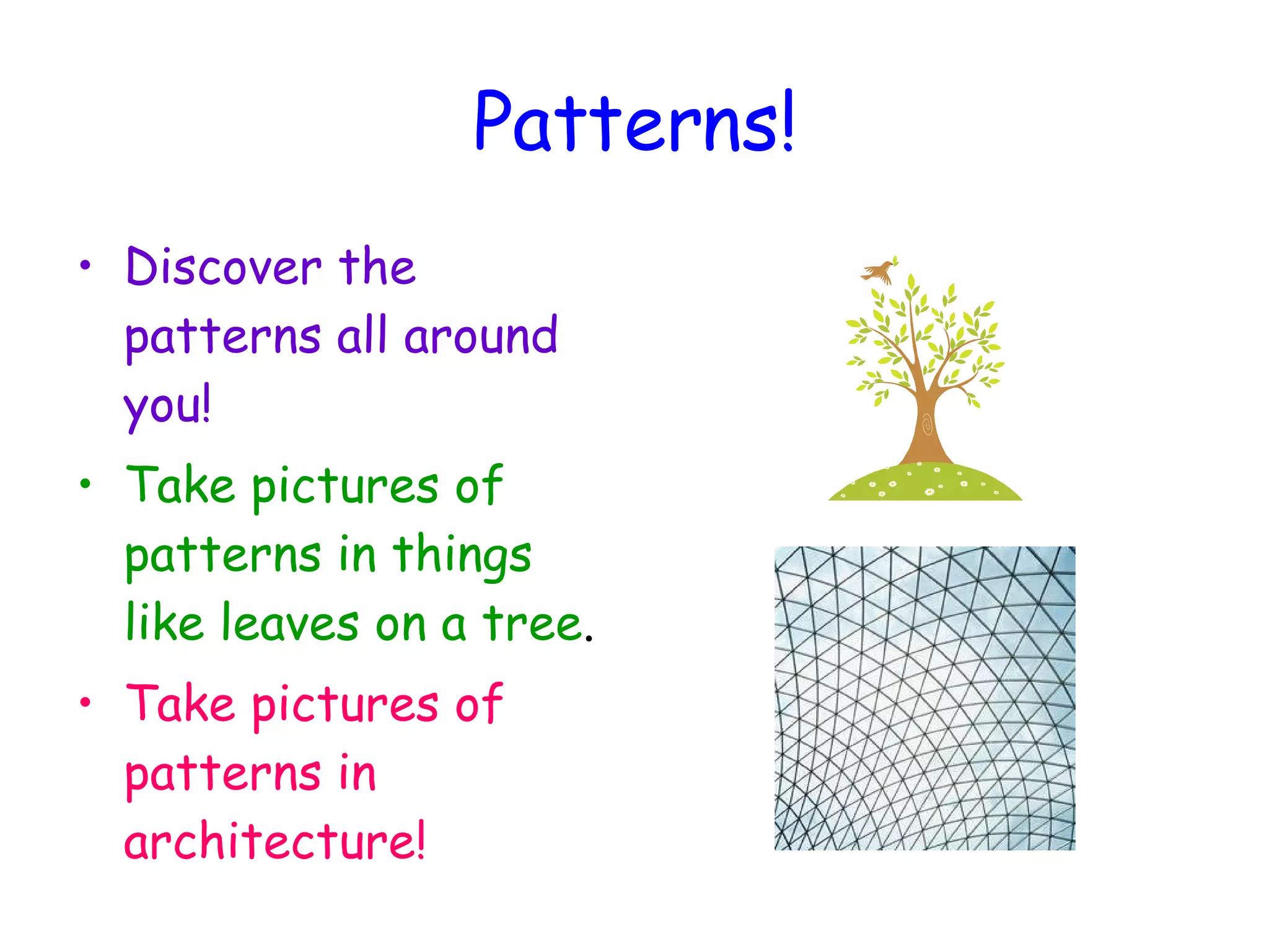 Patterns! Discover the patterns all around you! Take pictures of patterns in things like leaves on a tree . Take pictures of  patterns in architecture! 