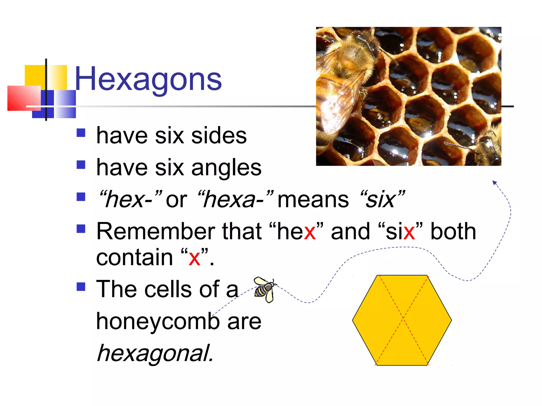 Hexagons
 have six sides
 have six angles
 “hex-” or “hexa-” means “six”
 Remember that “hex” and “six” both
contain “x”.
 The cells of a
honeycomb are
hexagonal.
 