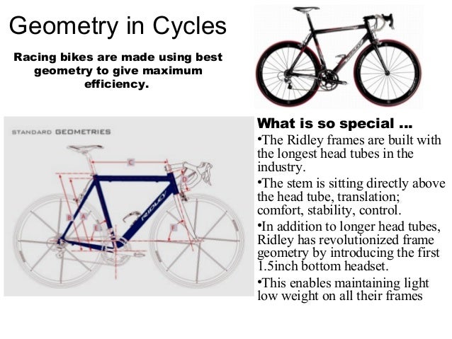 essay on geometry in real life