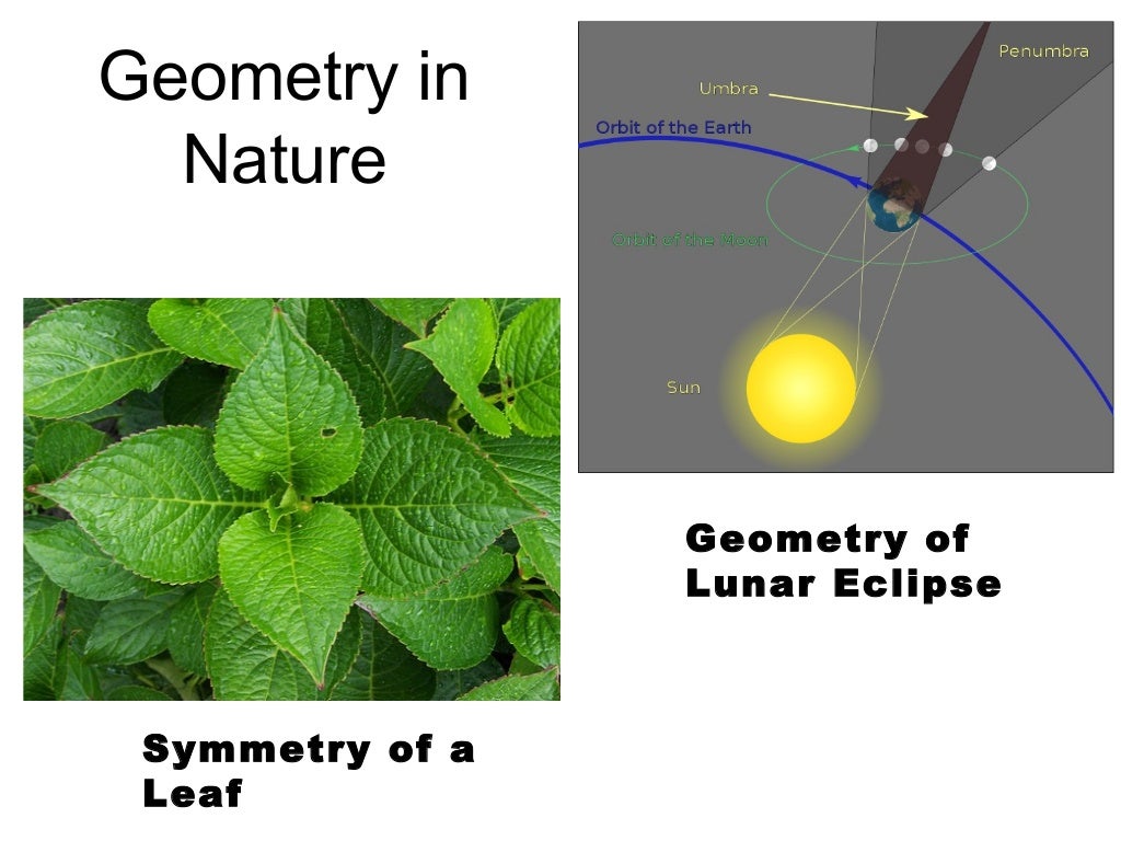 Geometry in daily life