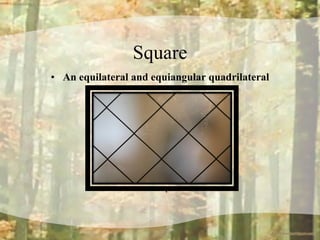 Square An equilateral and equiangular quadrilateral See all the squares?! 