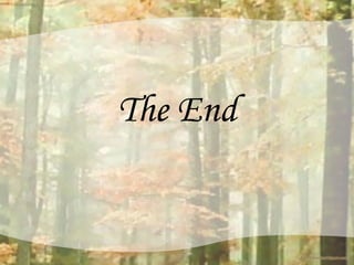 The End 