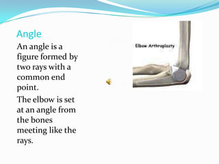 AngleAn angle is a figure formed by two rays with a common end point.The elbow is set at an angle from the bones meeting like the rays.