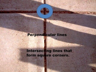 Jamie and Joey's Geometry Outside | PPT