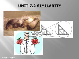 Holt Geometry 
UUNNIITT 77..22 SSIIMMIILLAARRIITTYY 
 
