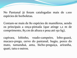 No Pantanal já foram catalogadas mais de 1.100
espécies de borboletas.
Contam-se mais de 80 espécies de mamíferos, sendo
os principais a onça-pintada (que atinge 1,2 m de
comprimento, 85 cm de altura e pesa até 150 kg),
capivara, lobinho, veado-campeiro, lobo-guará,
macaco-prego, cervo do pantanal, bugio, porco do
mato, tamanduá, anta, bicho-preguiça, ariranha,
quati, tatu e outros.
 