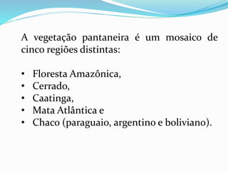 A vegetação pantaneira é um mosaico de
cinco regiões distintas:
• Floresta Amazônica,
• Cerrado,
• Caatinga,
• Mata Atlântica e
• Chaco (paraguaio, argentino e boliviano).
 