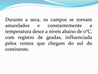 Durante a seca, os campos se tornam
amarelados e constantemente a
temperatura desce a níveis abaixo de 0°C,
com registro de geadas, influenciada
pelos ventos que chegam do sul do
continente.
 