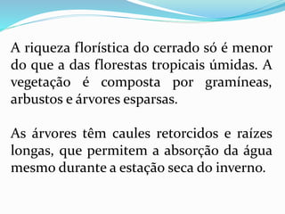 A riqueza florística do cerrado só é menor
do que a das florestas tropicais úmidas. A
vegetação é composta por gramíneas,
arbustos e árvores esparsas.
As árvores têm caules retorcidos e raízes
longas, que permitem a absorção da água
mesmo durante a estação seca do inverno.
 