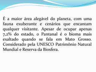 É a maior área alegável do planeta, com uma
fauna exuberante e cenários que encantam
qualquer visitante. Apesar de ocupar apenas
7,2% do estado, o Pantanal é o bioma mais
exaltado quando se fala em Mato Grosso.
Considerado pela UNESCO Patrimônio Natural
Mundial e Reserva da Biosfera.
 