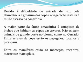 Devido à dificuldade de entrada de luz, pela
abundância e grossura das copas, a vegetação rasteira é
muito escassa na Amazônia.
A maior parte da fauna amazônica é composta de
bichos que habitam as copas das árvores. Não existem
animais de grande porte no bioma, como no Cerrado.
Entre as aves da copa estão os papagaios, tucanos e
pica-paus.
Entre os mamíferos estão os morcegos, roedores,
macacos e marsupiais.
 