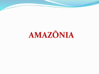 AMAZÔNIA
 