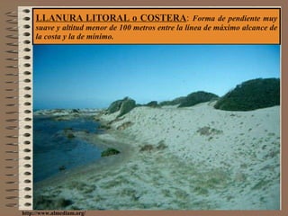 LLANURA LITORAL o COSTERA :  Forma de pendiente muy suave y altitud menor de 100 metros entre la línea de máximo alcance de la costa y la de mínimo. http://www.almediam.org/ 