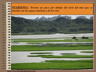 MARISMA :  Terreno un poco por debajo del nivel del mar que se inunda con las aguas marinas y de los ríos. http://www.miradordedonana.com/ 