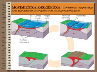 MOVIMIENTOS OROGÉNICOS :  Movimientos responsables de la formación de los orógenos o de los relieves montañosos. http://www.kalipedia.com 