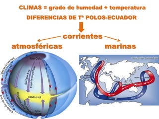 CLIMAS = grado de humedad + temperatura
   DIFERENCIAS DE Tª POLOS-ECUADOR


               corrientes
atmosféricas                marinas
 