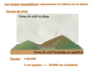 Los mapas topográficos: representan el relieve en un plano.

 Curvas de nivel




    Escala:   1:25.000

              1 cm (papel) ------ 25.000 cm (realidad)
 