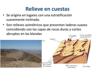 Relieve en cuestas 
• Se origina en lugares con una estratificación 
suavemente inclinada. 
• Son relieves asimétricos que presentan laderas suaves 
coincidiendo con las capas de rocas duras y cortes 
abruptos en las blandas 
 