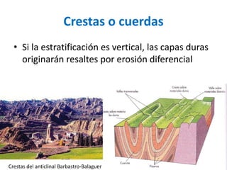 Crestas o cuerdas 
• Si la estratificación es vertical, las capas duras 
originarán resaltes por erosión diferencial 
Crestas del anticlinal Barbastro-Balaguer 
 