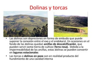 Dolinas y torcas 
• Las dolinas son depresiones en forma de embudo que puede 
suponer la conexión entre el exo y el endokarst. En ocasiones en el 
fondo de las dolinas quedan arcillas de descalcificación, que 
pueden servir como tierra de cultivo (Terra rosa). Debido a la 
impermeabilidad de las arcillas, estas dolinas se pueden convertir 
en lagunas estacionales 
• Las torcas o dolinas en pozo son en realidad producto del 
hundimiento de una cavidad interna 
 