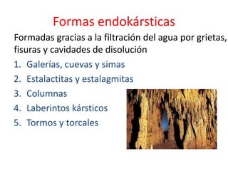 Formas endokársticas 
Formadas gracias a la filtración del agua por grietas, 
fisuras y cavidades de disolución 
1. Galerías, cuevas y simas 
2. Estalactitas y estalagmitas 
3. Columnas 
4. Laberintos kársticos 
5. Tormos y torcales 
 