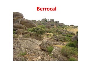 Berrocal 
 