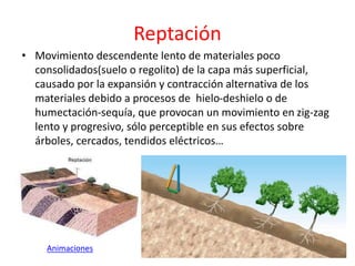 Reptación 
• Movimiento descendente lento de materiales poco 
consolidados(suelo o regolito) de la capa más superficial, 
causado por la expansión y contracción alternativa de los 
materiales debido a procesos de hielo-deshielo o de 
humectación-sequía, que provocan un movimiento en zig-zag 
lento y progresivo, sólo perceptible en sus efectos sobre 
árboles, cercados, tendidos eléctricos… 
Animaciones 
 