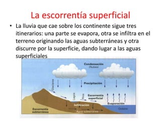 La escorrentía superficial 
• La lluvia que cae sobre los continente sigue tres 
itinerarios: una parte se evapora, otra se infiltra en el 
terreno originando las aguas subterráneas y otra 
discurre por la superficie, dando lugar a las aguas 
superficiales 
 