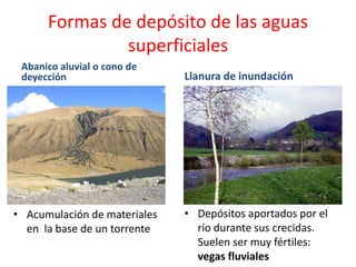 Formas de depósito de las aguas 
superficiales 
Abanico aluvial o cono de 
deyección 
• Acumulación de materiales 
en la base de un torrente 
Llanura de inundación 
• Depósitos aportados por el 
río durante sus crecidas. 
Suelen ser muy fértiles: 
vegas fluviales 
 