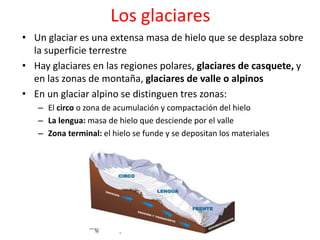 Los glaciares 
• Un glaciar es una extensa masa de hielo que se desplaza sobre 
la superficie terrestre 
• Hay glaciares en las regiones polares, glaciares de casquete, y 
en las zonas de montaña, glaciares de valle o alpinos 
• En un glaciar alpino se distinguen tres zonas: 
– El circo o zona de acumulación y compactación del hielo 
– La lengua: masa de hielo que desciende por el valle 
– Zona terminal: el hielo se funde y se depositan los materiales 
 