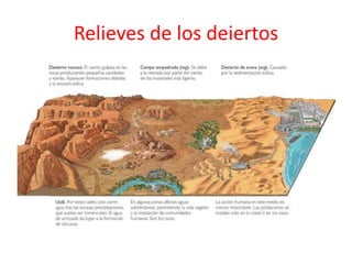 Relieves de los deiertos 
 
