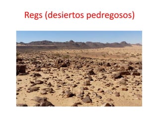 Regs (desiertos pedregosos) 
 