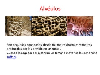 Alvéolos 
Son pequeñas oquedades, desde milímetros hasta centímetros, 
producidas por la abrasión en las rocas . 
Cuando las oquedades alcanzan un tamaño mayor se las denomina 
Taffoni. 
 
