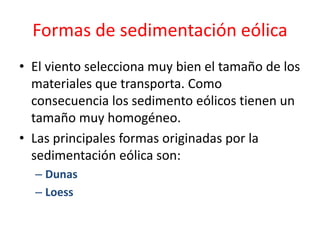 Formas de sedimentación eólica 
• El viento selecciona muy bien el tamaño de los 
materiales que transporta. Como 
consecuencia los sedimento eólicos tienen un 
tamaño muy homogéneo. 
• Las principales formas originadas por la 
sedimentación eólica son: 
– Dunas 
– Loess 
 