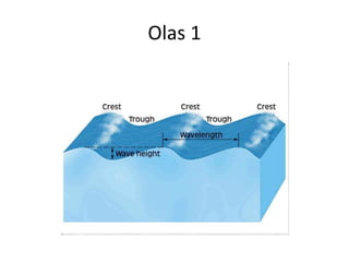 Olas 1 
 