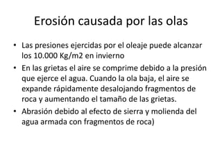 Erosión causada por las olas 
• Las presiones ejercidas por el oleaje puede alcanzar 
los 10.000 Kg/m2 en invierno 
• En las grietas el aire se comprime debido a la presión 
que ejerce el agua. Cuando la ola baja, el aire se 
expande rápidamente desalojando fragmentos de 
roca y aumentando el tamaño de las grietas. 
• Abrasión debido al efecto de sierra y molienda del 
agua armada con fragmentos de roca) 
 