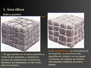 1. El agua penetra en el macizo granítico a
través de las diaclasas y comienza el
proceso de meteorización química que
afectará a los feldespatos y a las micas,
pero no al cuarzo.
2. La meteorización es más intensa en
las esquinas, ya que tienen más
superficie en contacto con las aguas
circulantes. Se originan así bloques
redondeados, rodeados por arena
gruesa.
1. Área silícea1. Área silícea
Relieve graníticoRelieve granítico
 