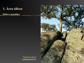 Diaclasas en un
paisaje granítico
Relieve graníticoRelieve granítico
1. Área silícea1. Área silícea
 
