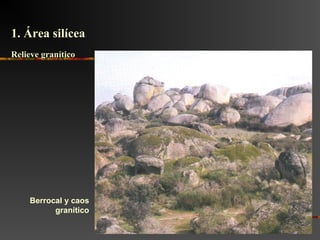 Berrocal y caos
granítico
Relieve graníticoRelieve granítico
1. Área silícea1. Área silícea
 