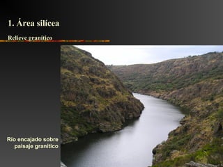 Río encajado sobre
paisaje granítico
Relieve graníticoRelieve granítico
1. Área silícea1. Área silícea
 